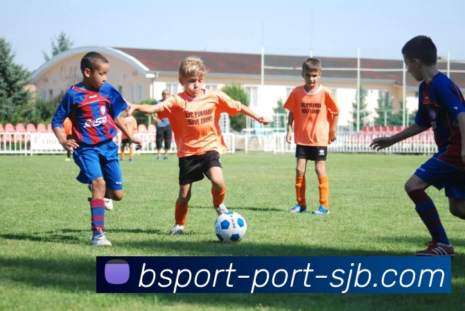 B体育端口，B体育端口，B体育官网，B体育入口，B体育APPAPP 封面图